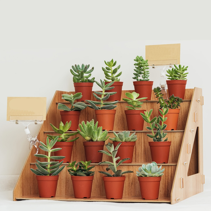 Ahşap Ürün Sergileme Rafı, Çif - Pop Display Shelf incelemesi ve fiyatı
